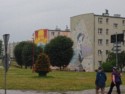 Murals on nearby apartment buildings